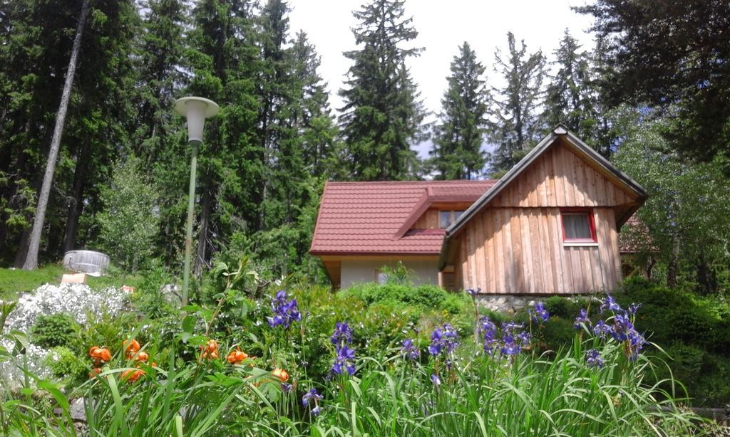Guesthouse Planinski Dom Majerhold Solčava 外观 照片