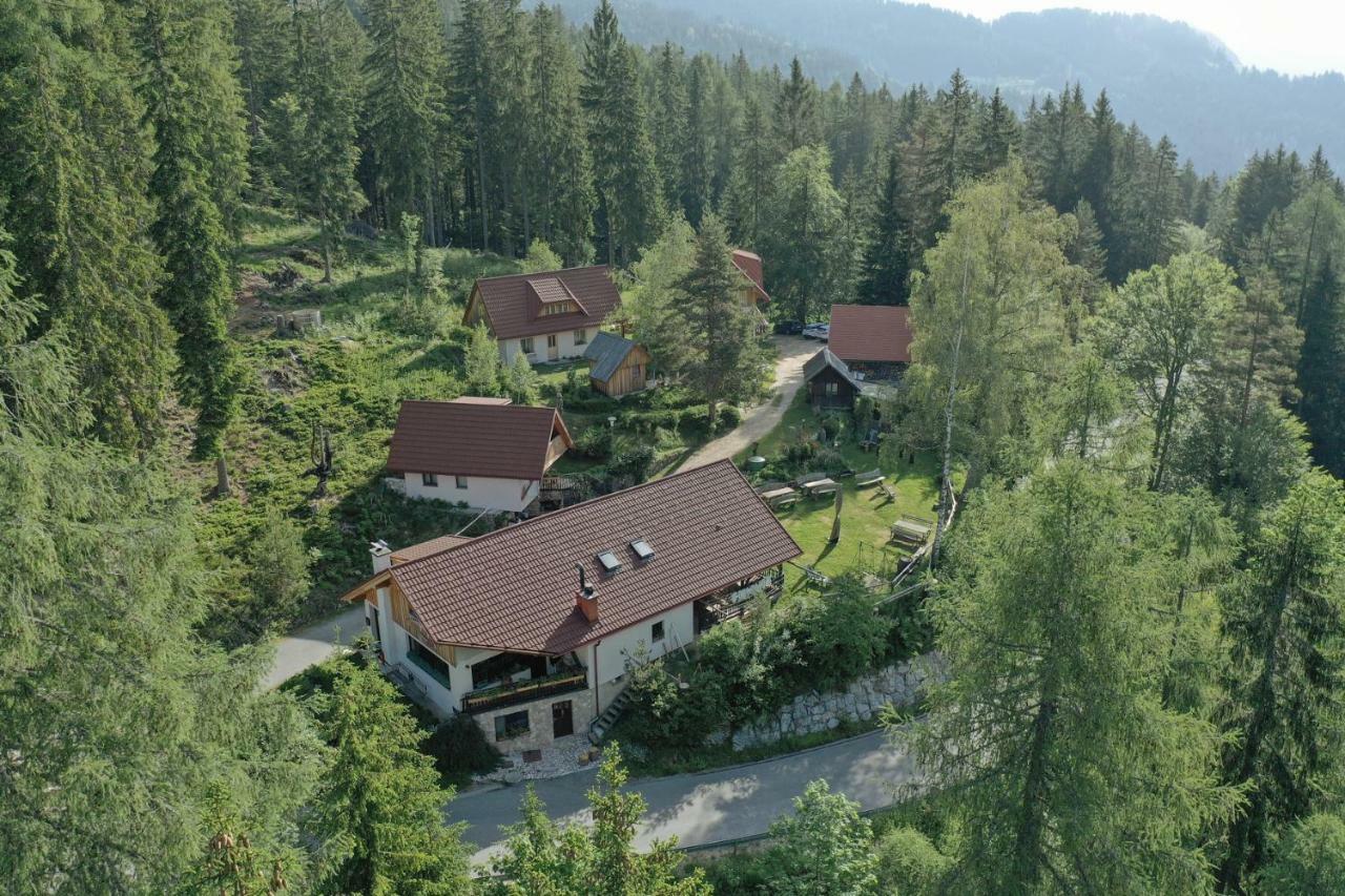 Guesthouse Planinski Dom Majerhold Solčava 外观 照片